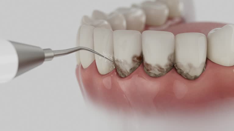 Reliable Dental contractor in Albany, IN by Dentist Open Now